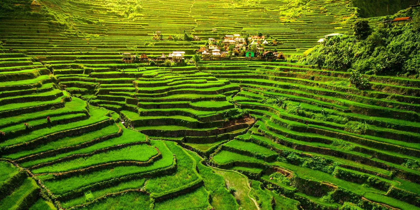 SAGADA